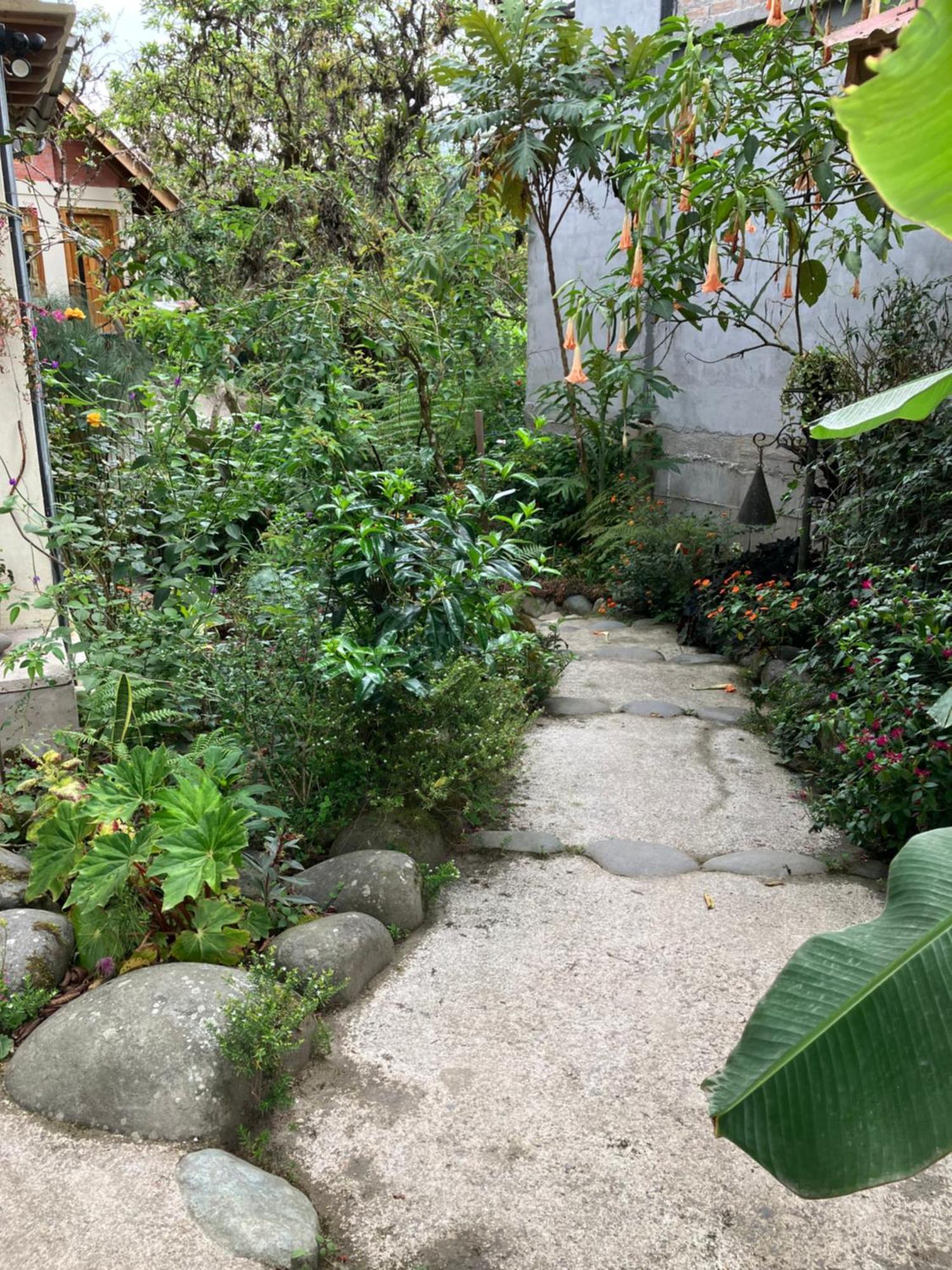 Casa Del Rio En Mindo Panzió Kültér fotó