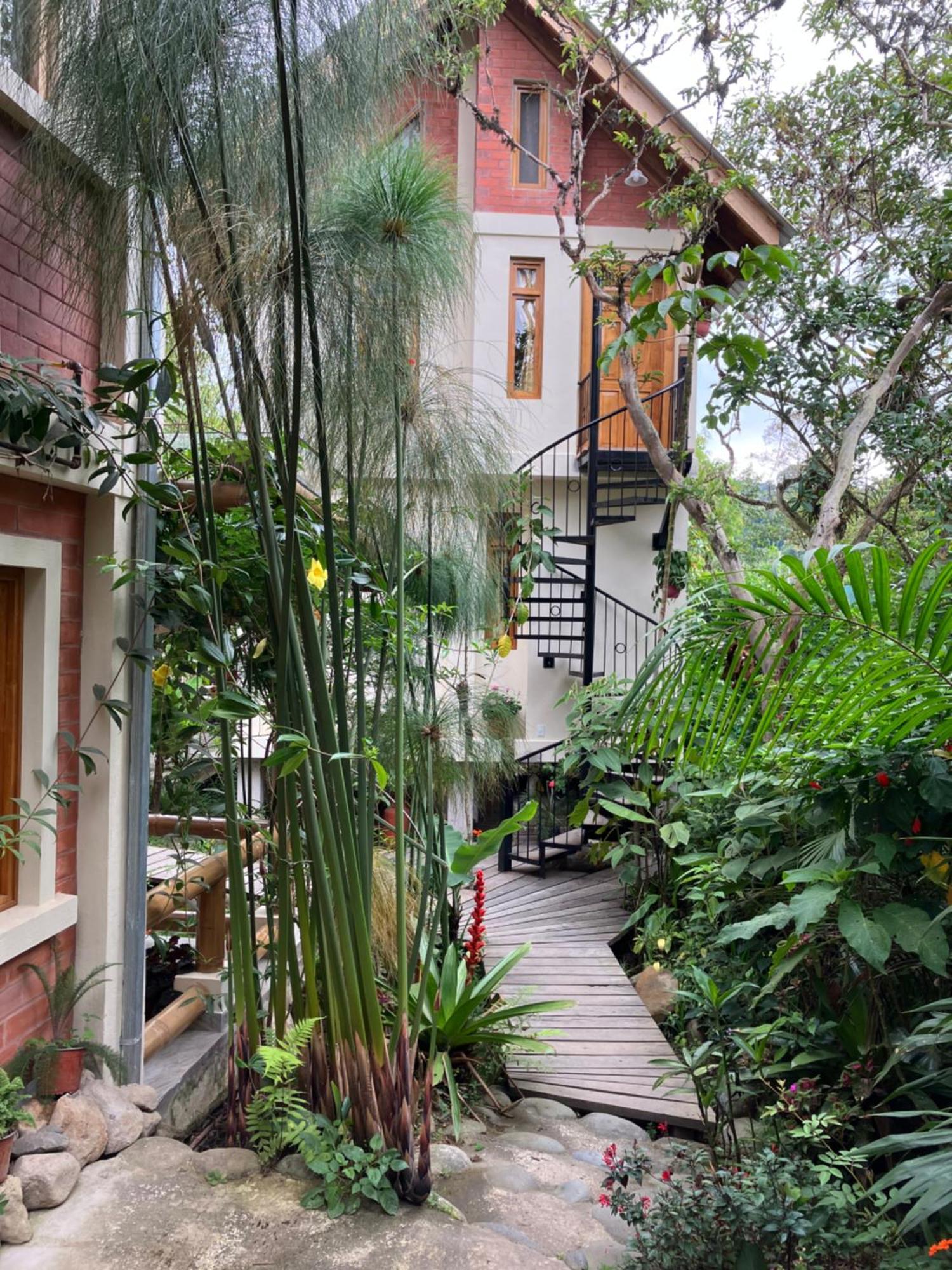 Casa Del Rio En Mindo Panzió Kültér fotó