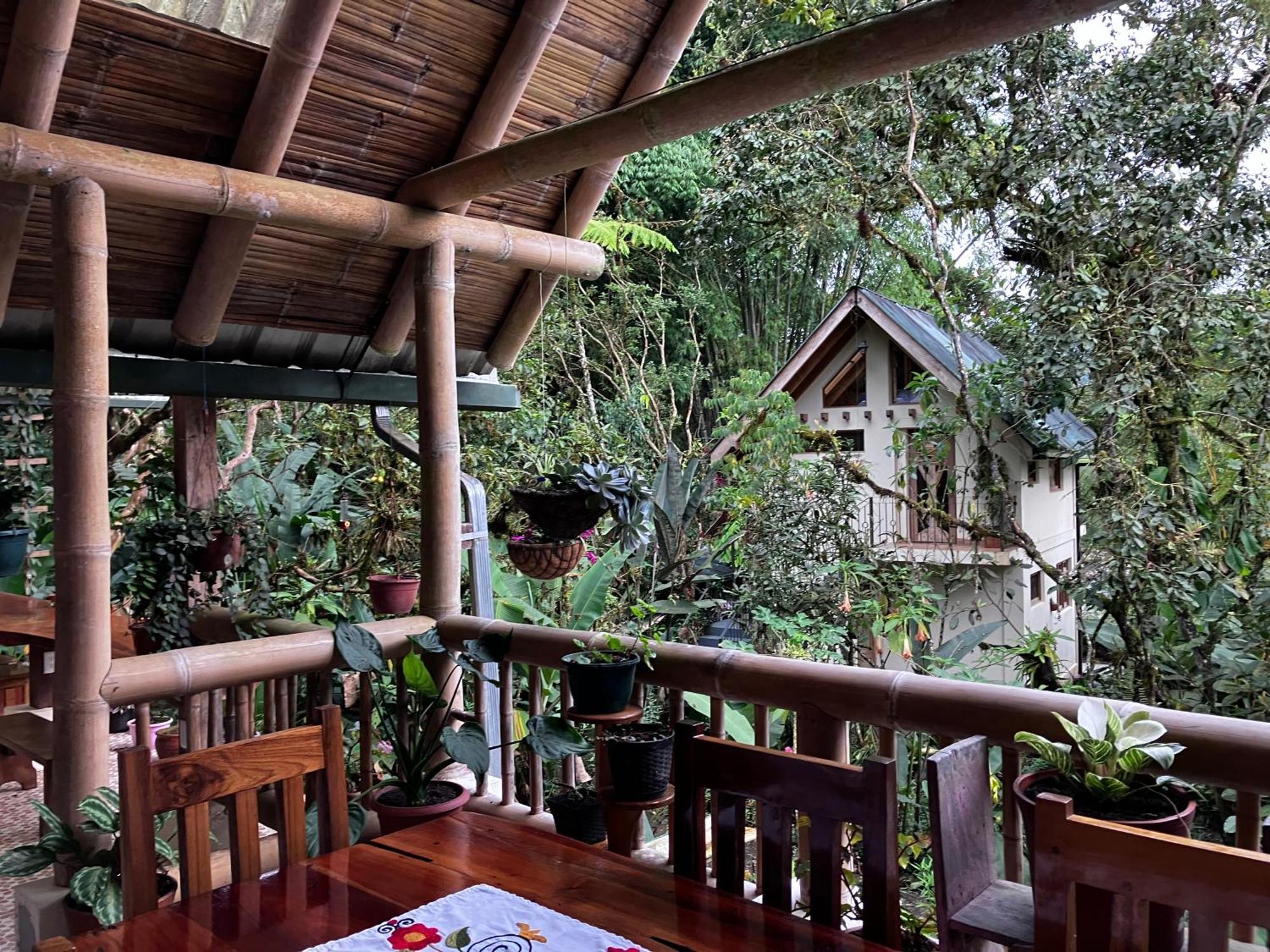 Casa Del Rio En Mindo Panzió Kültér fotó