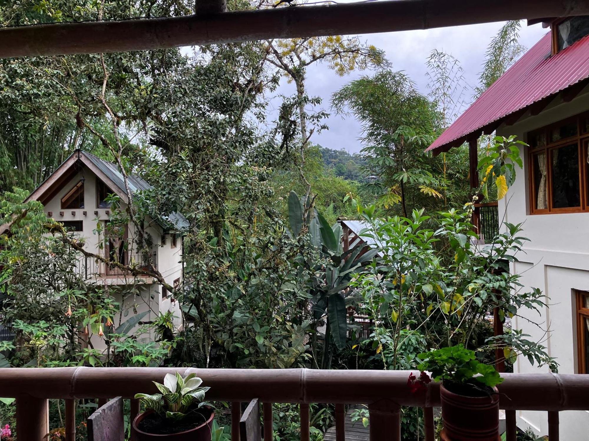 Casa Del Rio En Mindo Panzió Kültér fotó