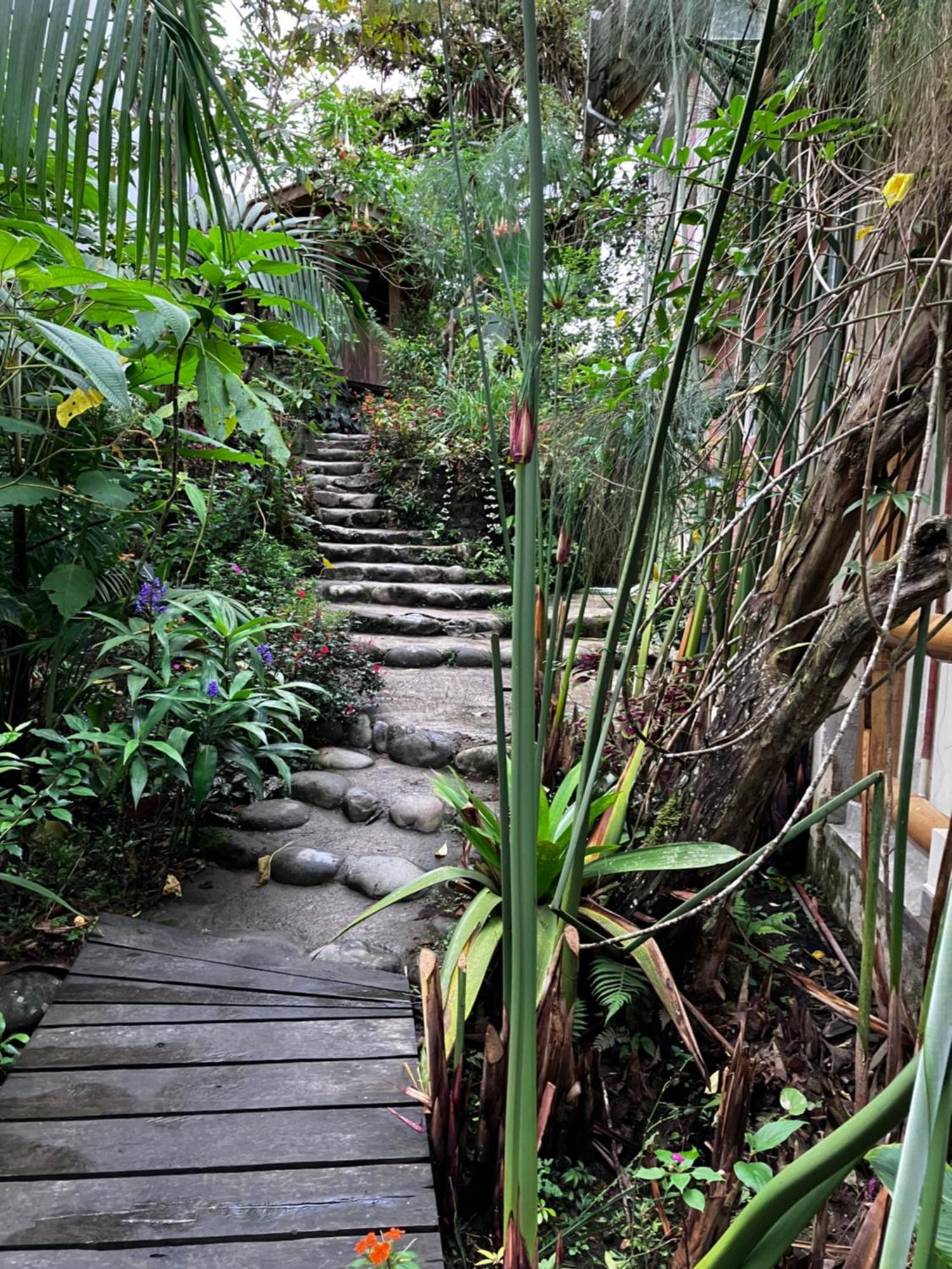 Casa Del Rio En Mindo Panzió Kültér fotó