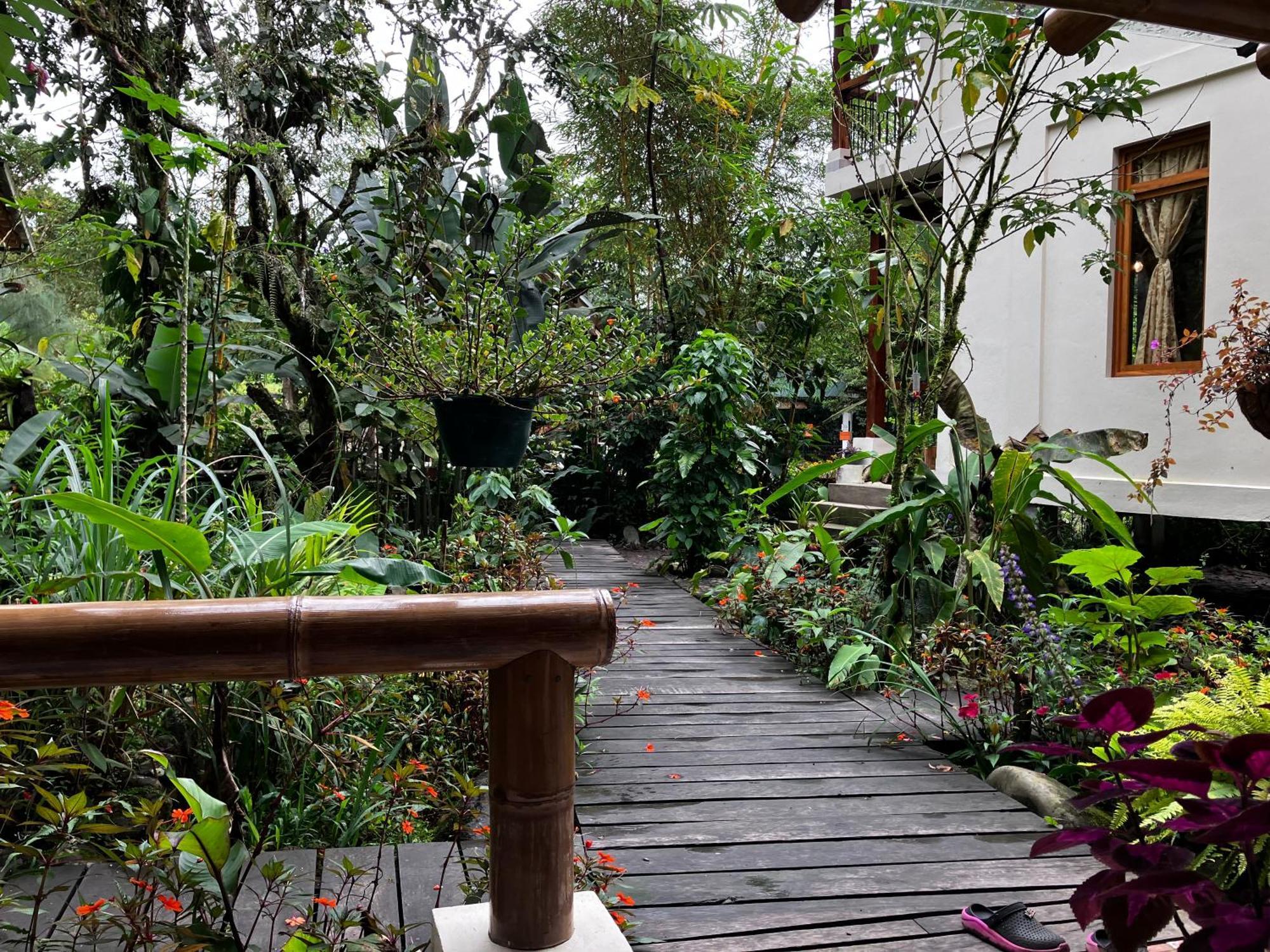 Casa Del Rio En Mindo Panzió Kültér fotó