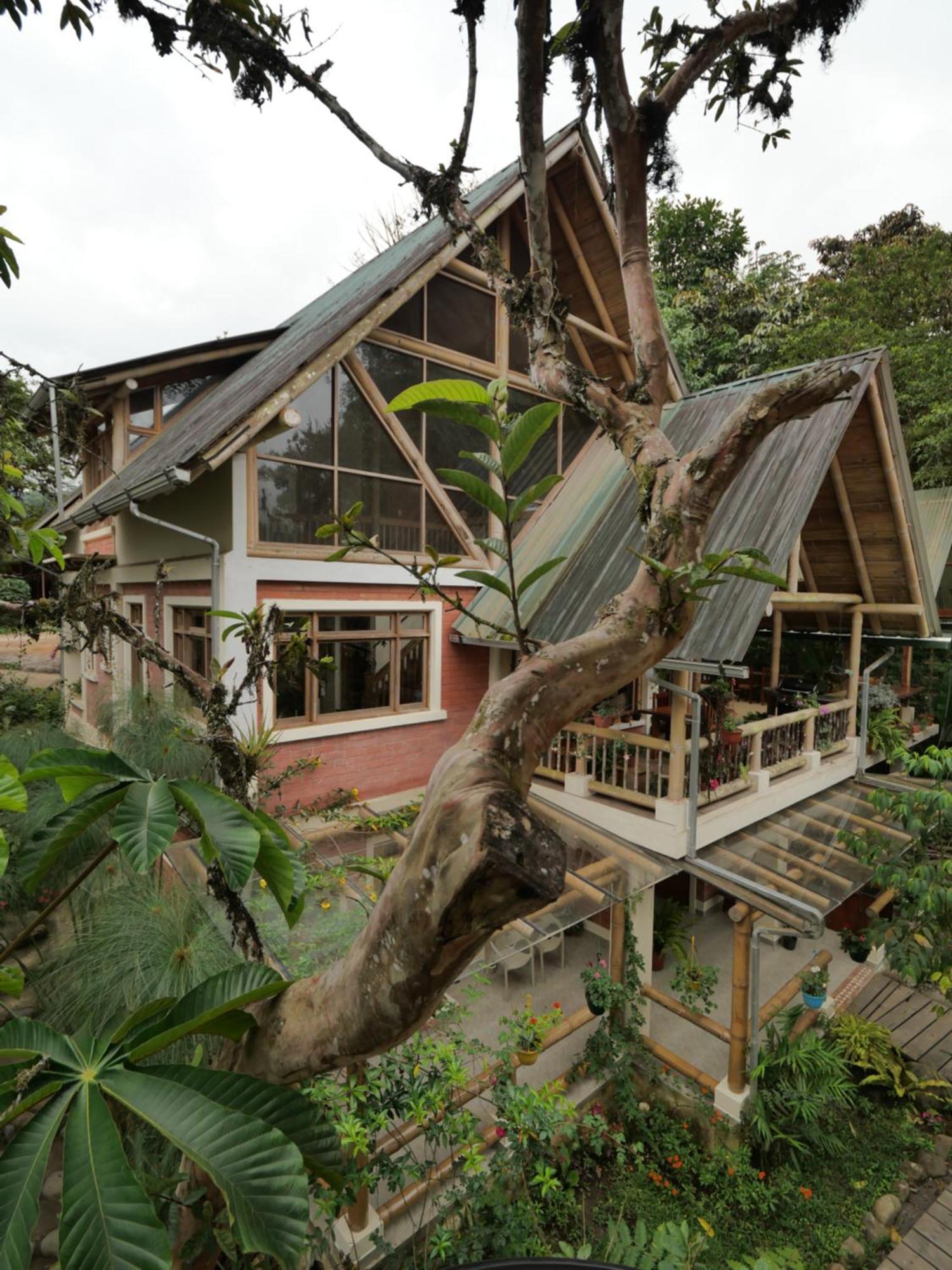 Casa Del Rio En Mindo Panzió Kültér fotó